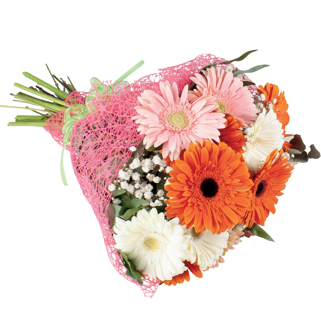 Bouquet 15 gerbere mix