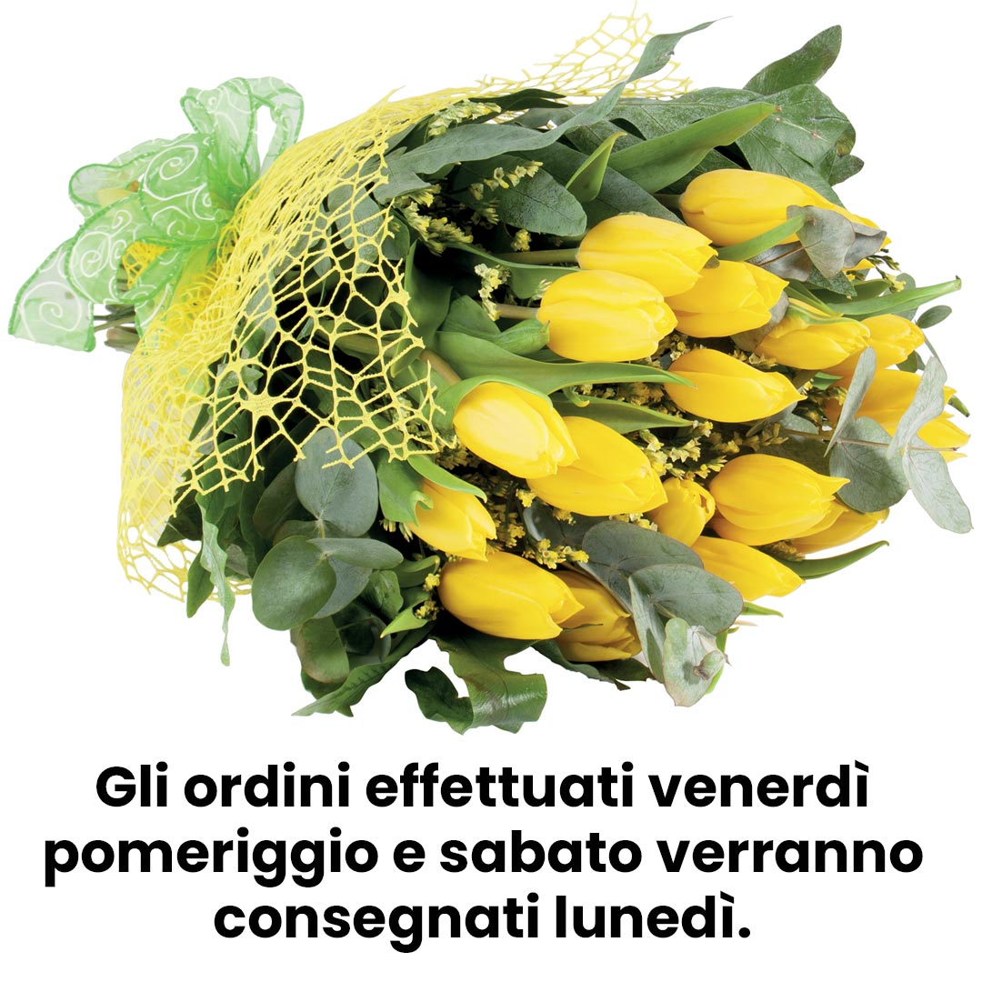 Bouquet 20 tulipani gialli