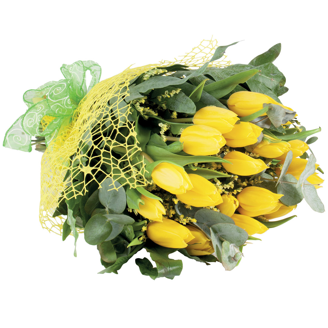 Bouquet 20 tulipani gialli