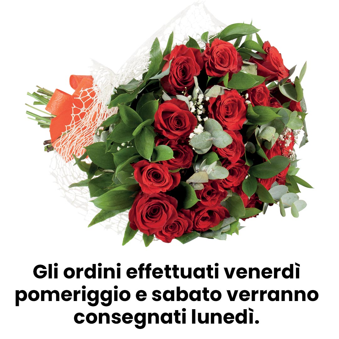 Bouquet 24 rose