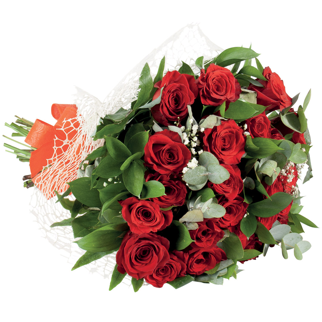 Bouquet 24 rose