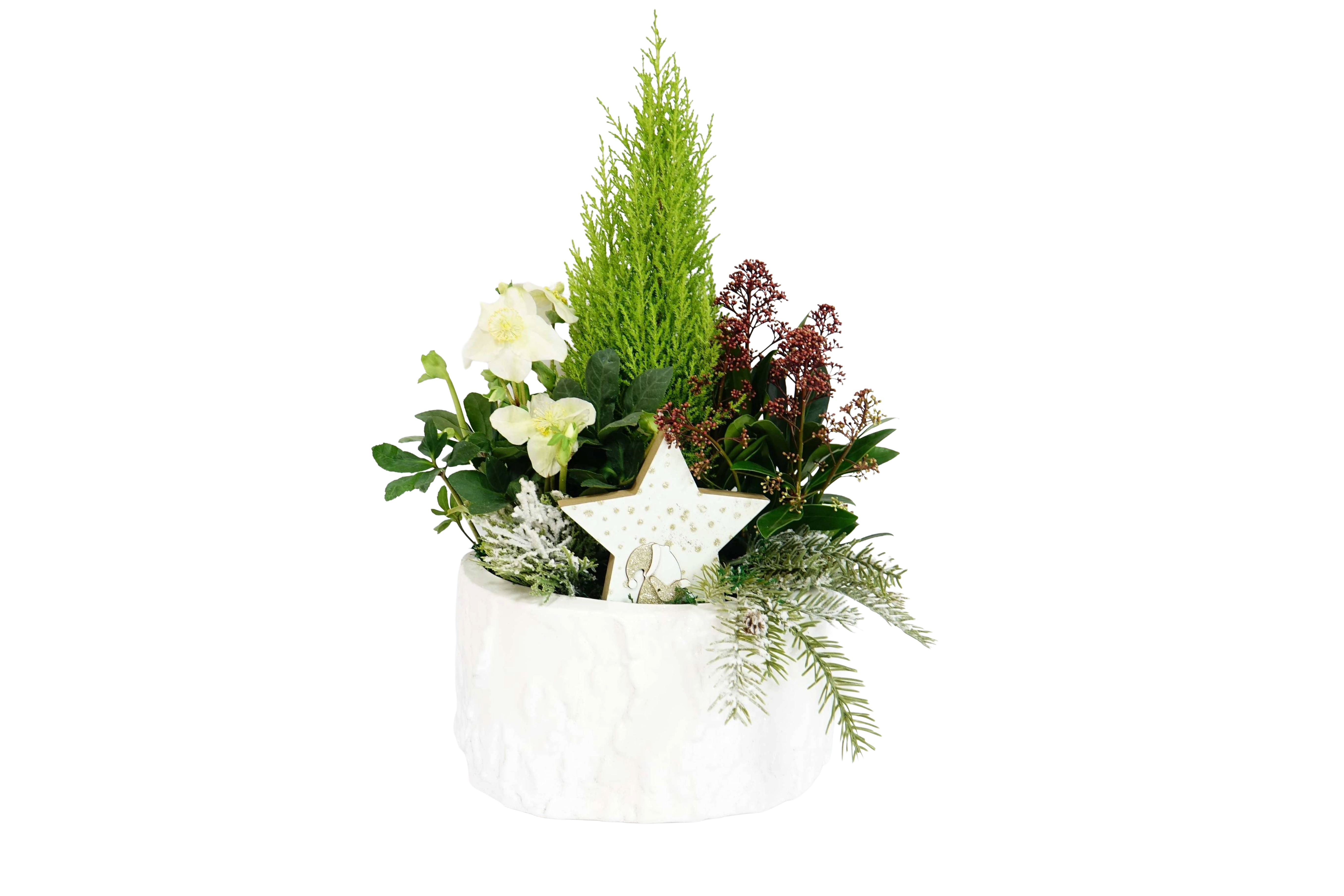 Composizione mix piante verdi e fiorite su vaso ceppo in ceramica