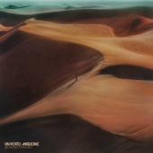 Lavastoviglie 14/c. df222fp lg