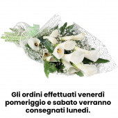 Lavastoviglie 14/c. df222fp lg