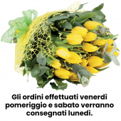 Lavastoviglie 14/c. df222fp lg