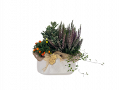 Composizione di quattro piante da esterno su vaso ovale di ceramica bianca decorata