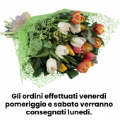 Lavastoviglie 14/c. df222fp lg