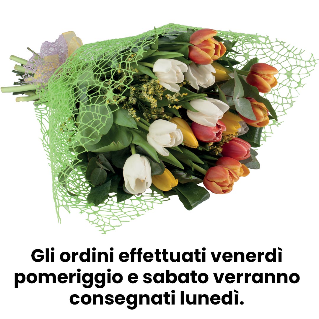 Bouquet 20 tulipani mix color