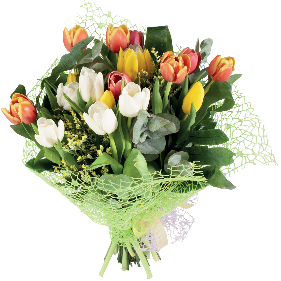 Bouquet 20 tulipani mix color