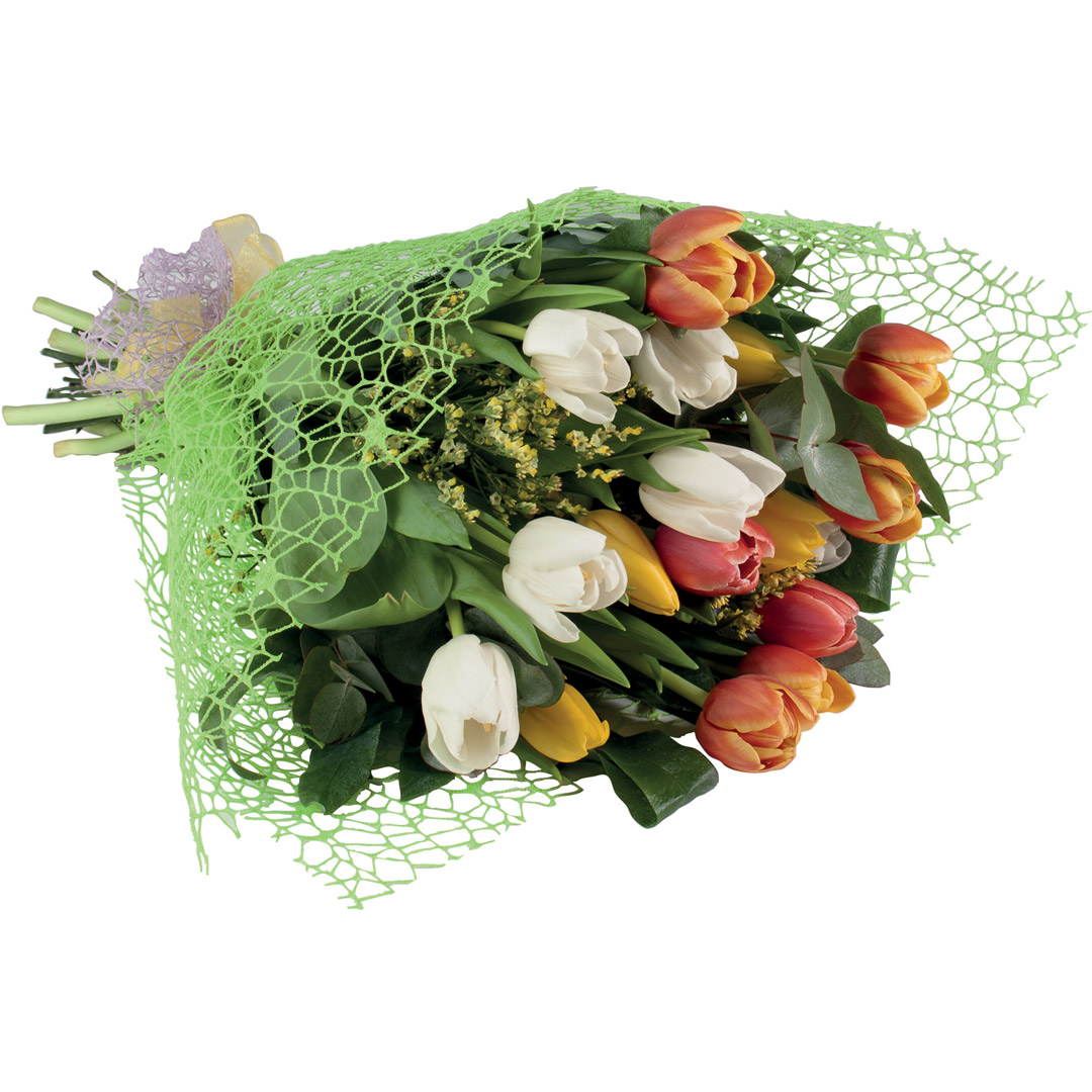 Bouquet 20 tulipani mix color