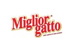 MigliorGatto