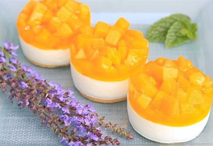 Semifreddo allo yogurt con salsa alle pesche