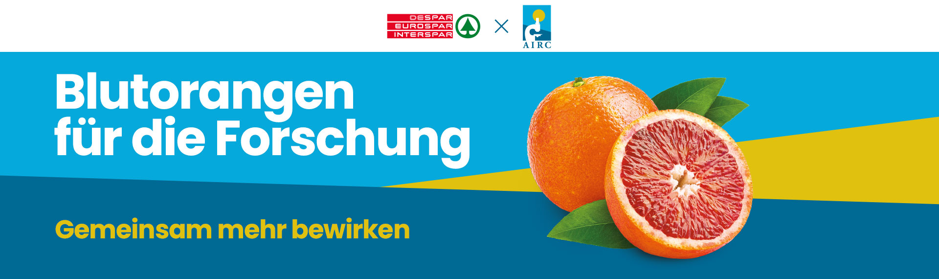 Kaufen Sie bis 15. Februar 2026 in allen teilnehmenden Geschäften unsere Blutorangen und unterstützen Sie aktiv und gemeinsam mit uns die Krebsforschung.