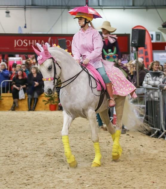 Westcountry Equine Fair 2