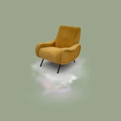 Another velvet chair