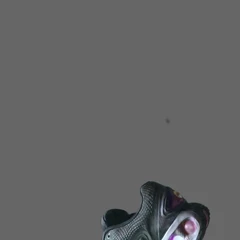 shoe