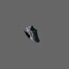 shoe