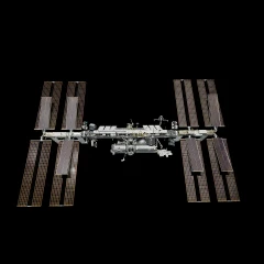 ISS Decimated