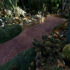 botanical-garden-america