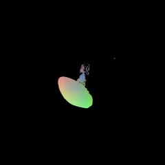 shoe_voxels
