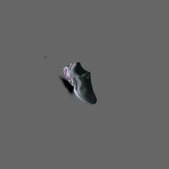 shoe