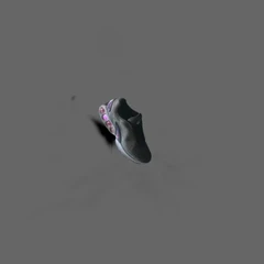 shoe