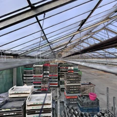growhouse