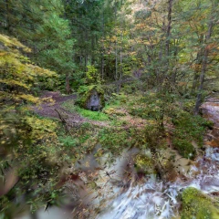 scene.compressed (14)