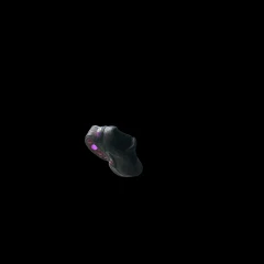 shoe