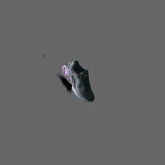 shoe