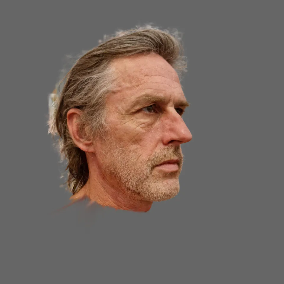 face_nosh.compressed