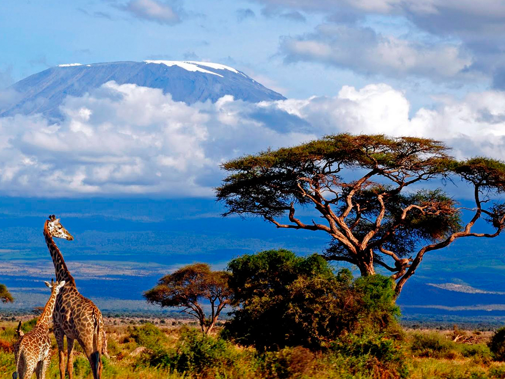 Kilimanjaro.jpg
