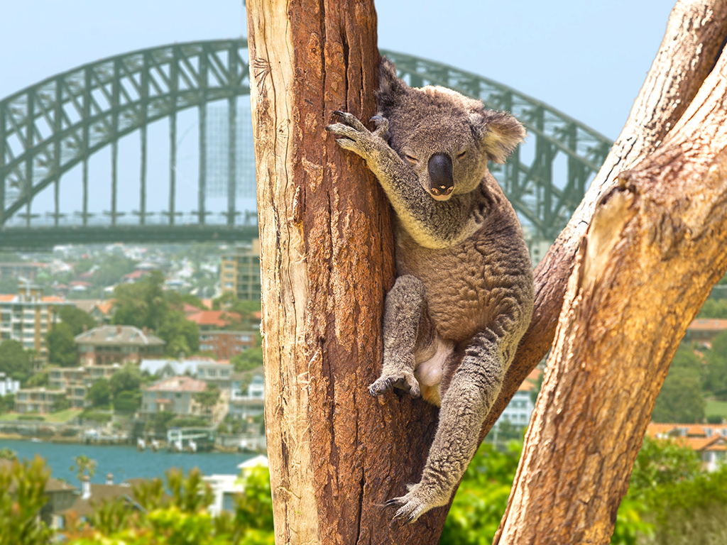 Australia 4.jpg