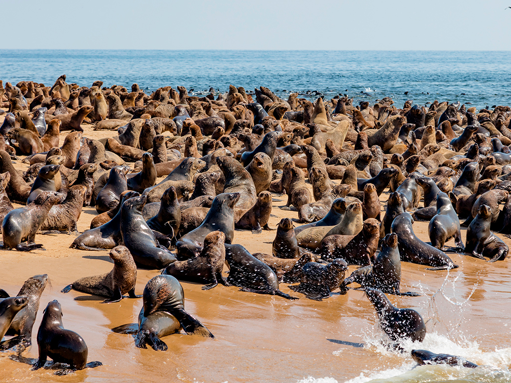 Namibia 6.jpg