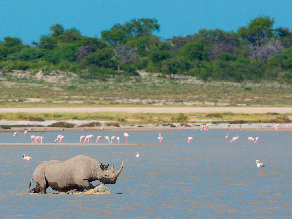Namibia 8.jpg