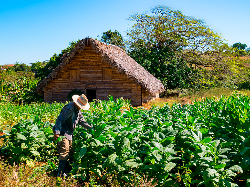 Cuba Viales 1.jpg