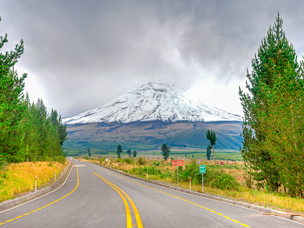 Ecuador 3.jpg