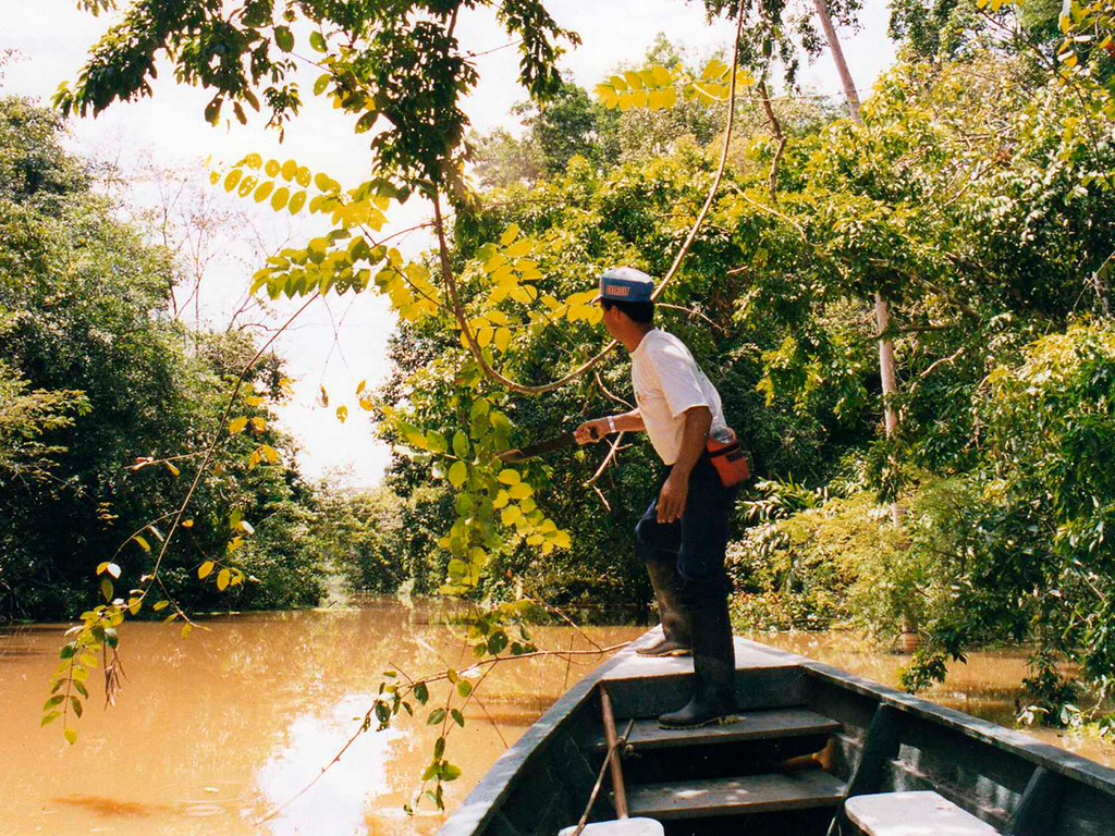 Amazonas peruano 2.jpg