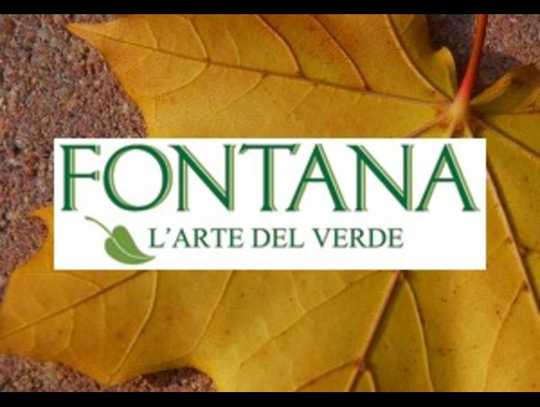Fontana l'Arte del Verde