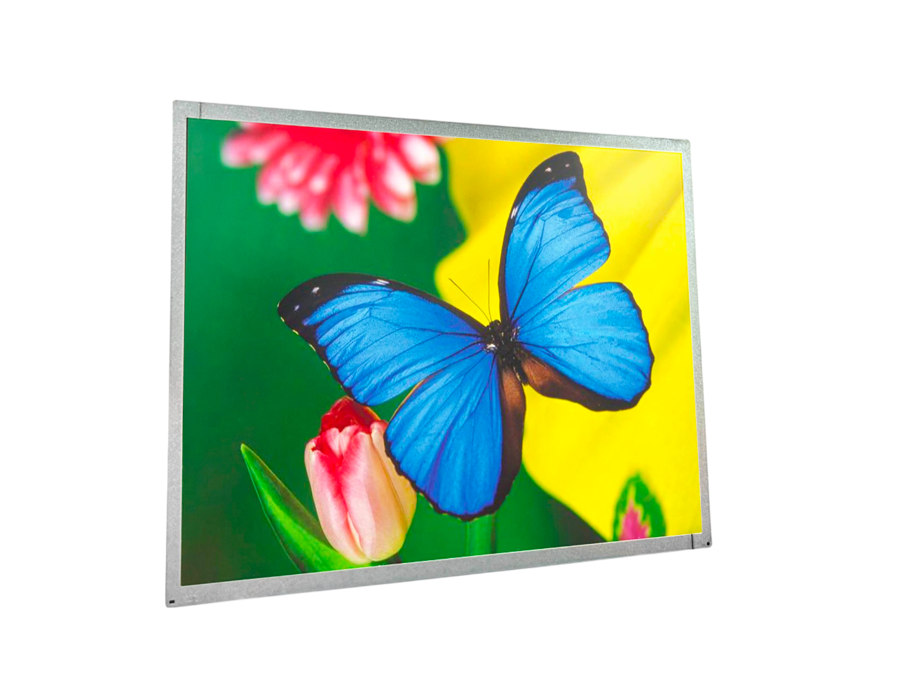 Auo M170ETN01.1 17” Lcd Panel LVDS Cable (30*CM) 1280*1024 30 PİNS 8-BİT 250 CD/M²