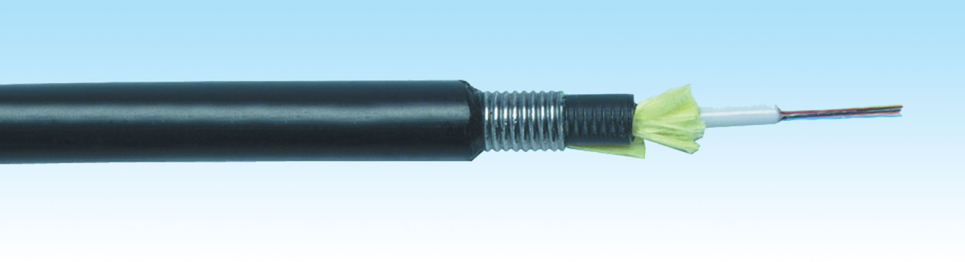 E94-01213-DR7-FA 12 Fiberli Paslanmaz Çelik Zırhlı, Bina Dışı SLT Siyah SM G.652 D (Tek kılıflı)