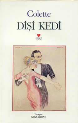 Dişi Kedi