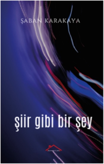 Şiir Gibi Bir Şey