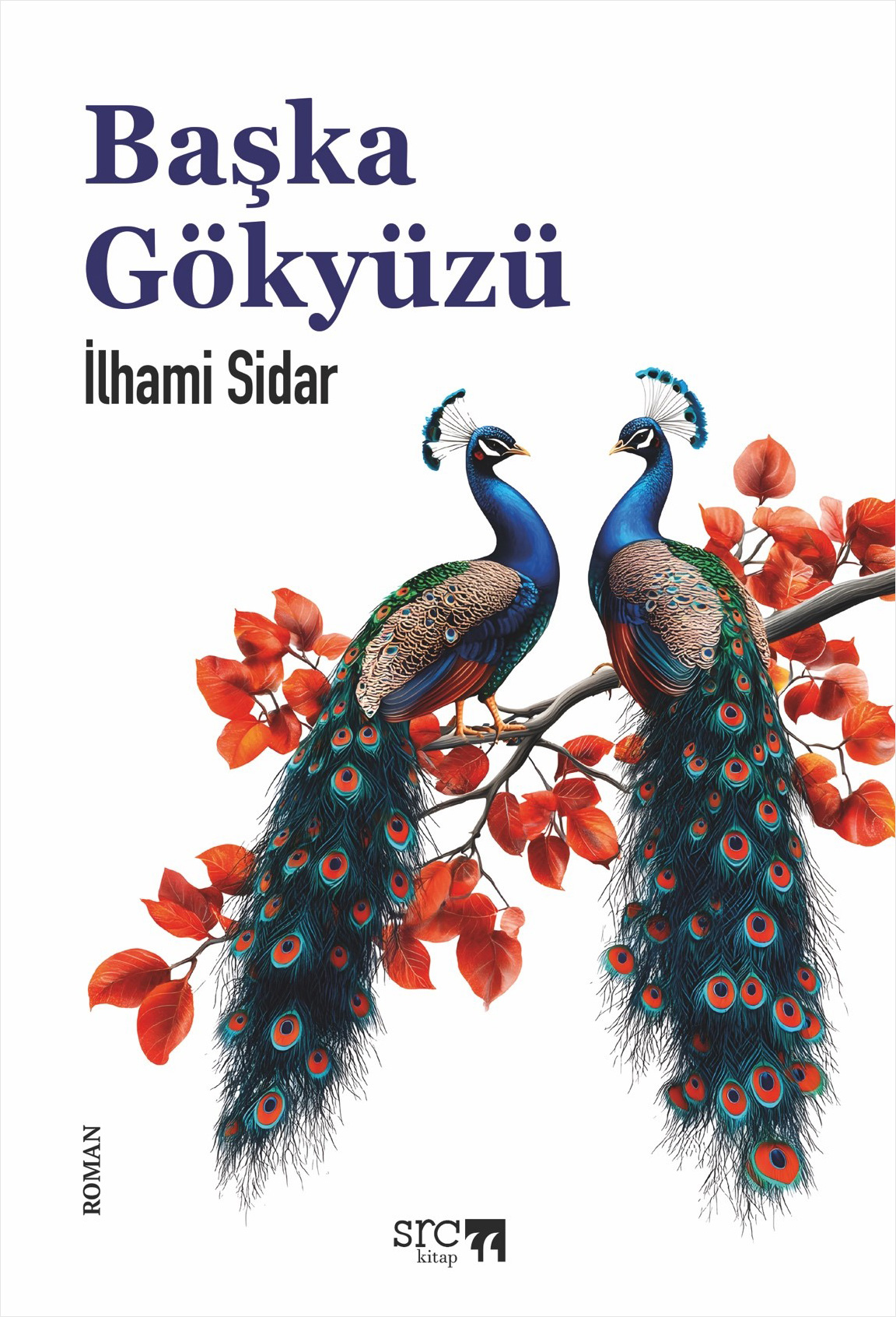 Başka Gökyüzü