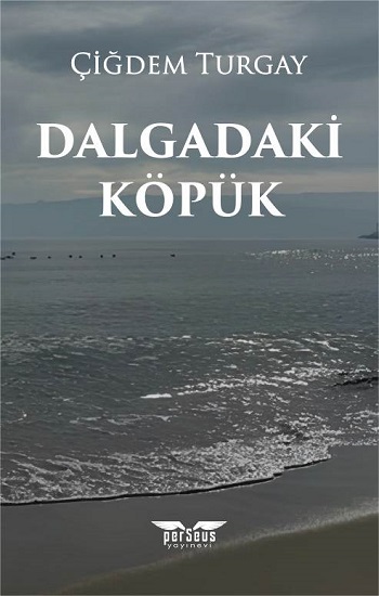 Dalgadaki Köpük