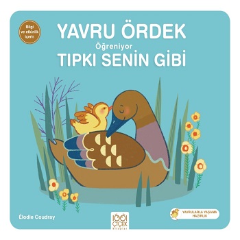 Yavru Ördek Öğreniyor Tıpkı Senin Gibi