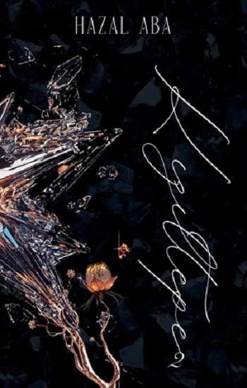 Kızıltepe-2 Mahalle serisi (Ciltli)