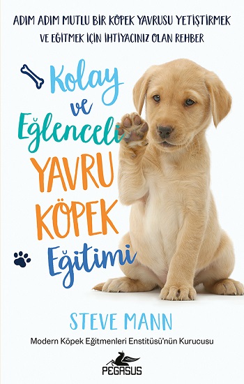 Kolay Ve Eğlenceli Yavru Köpek Eğitimi