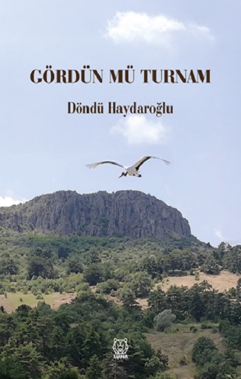 Gördün mü Turnam