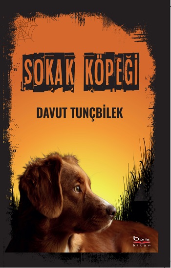 Sokak Köpeği